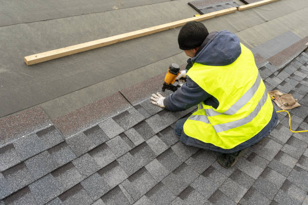 Best Roof Gutter Cleaning  in Concordia, MO